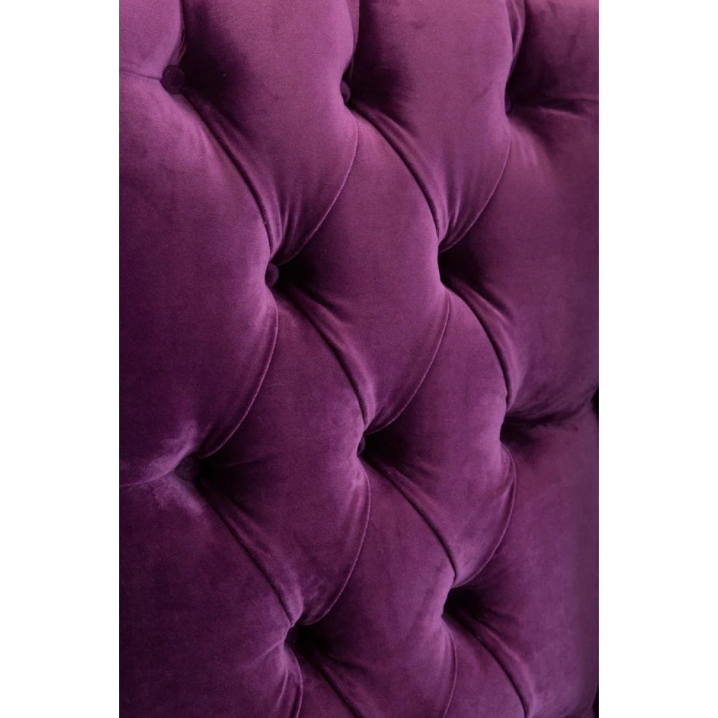 PERPEL – Purple Wing Arm Chair